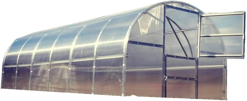 Klasika Gewächshaus, 4 mm, Transparent, Baltic LT 3x6m (L x B) mit Polycarbonat